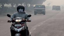 دولت-هند-به‌دنبال-افزایش-فروش-موتورسیکلت-و-اسکوترهای-برقی-است